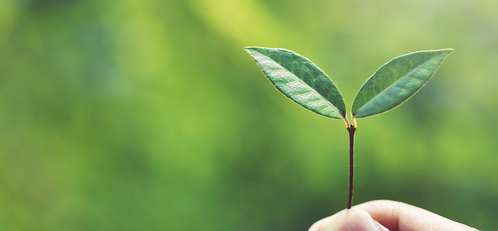 写真：代表取締役社長